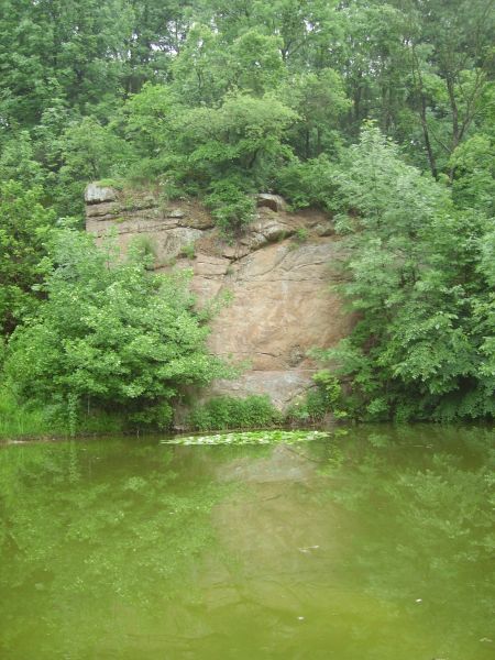 ����� ���� �������, ��������, �����. ����