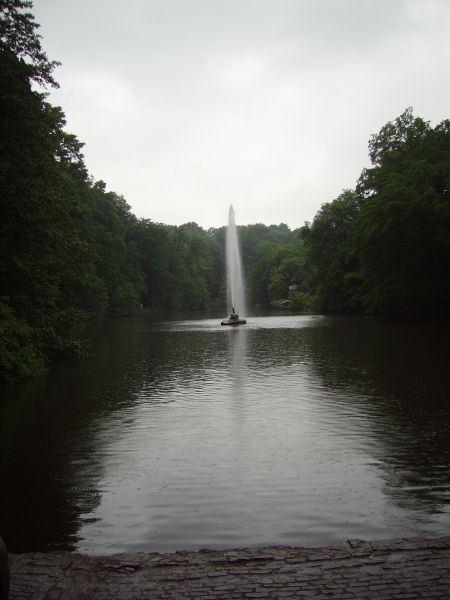 ������ ���� ,��������. ����