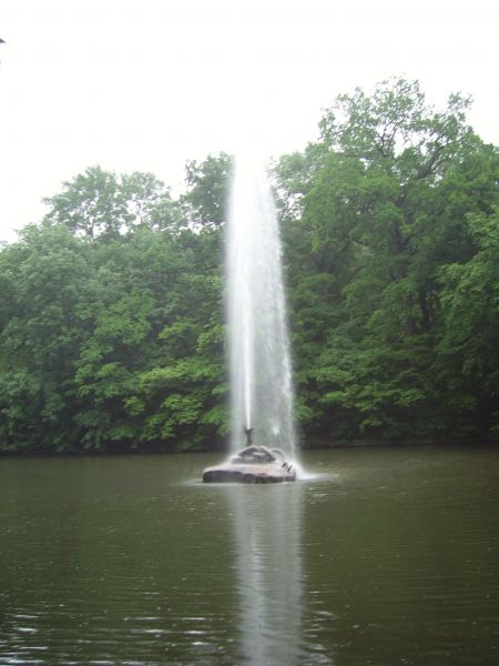 ������� ���� ,��������. ����