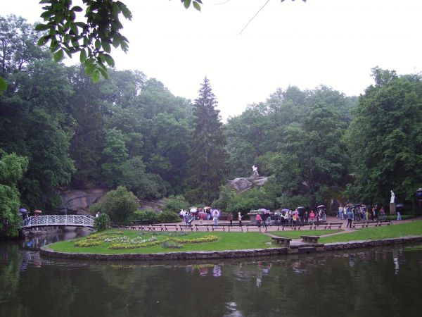 ��������, �����, �������. ����