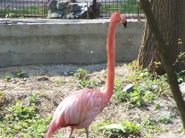 ��������, �������� ������� ����