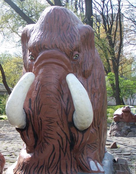 �������� �������, ���������� ����� ����