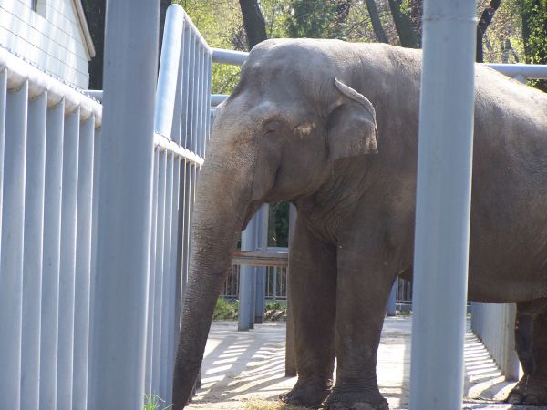 ����, �������� ������� ����