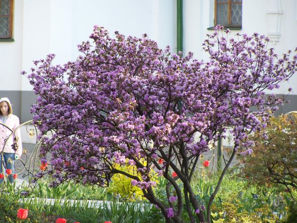 ���������� ��������� ������ ����