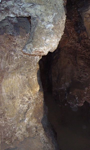 ������ ����������� ����