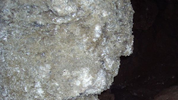 ������ ����������� ����