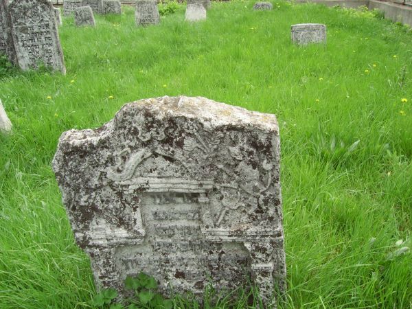 ��������� ��������� ��������. ����