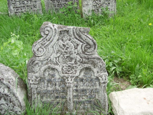 ��������� ��������, ��������, ������� ����