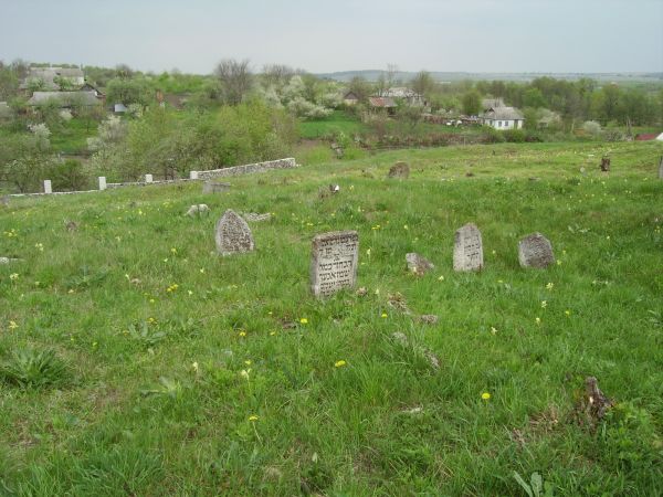 ��������� ��������� ��������. ����