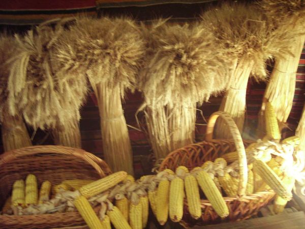 ����� ���������� � ����� ��������, ������� ����