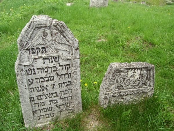 ��������� ��������� ��������. ����