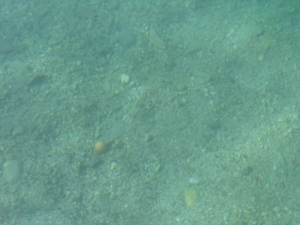 ������ ���� ��������� �����. ����