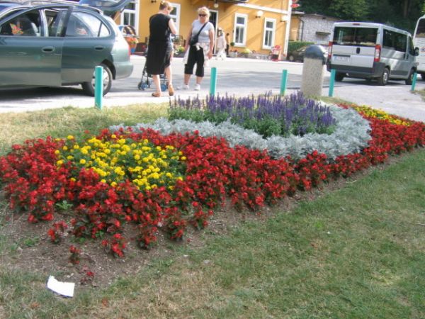 �.����, �������� ����