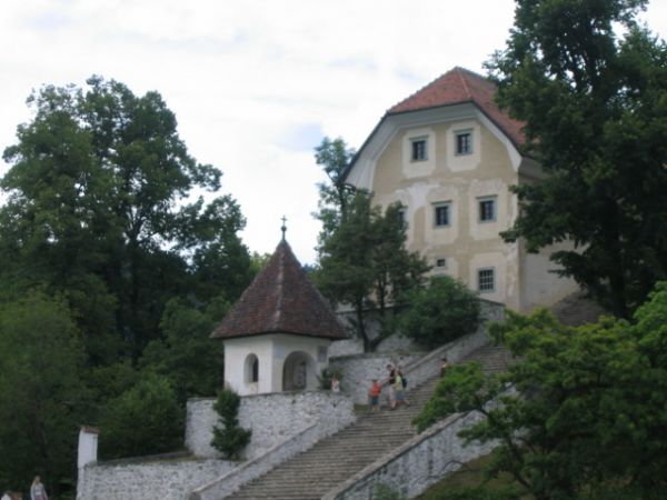 ������ �� ����� ���� ����