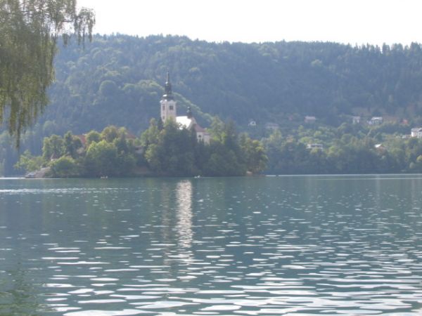 ����� ���� ����