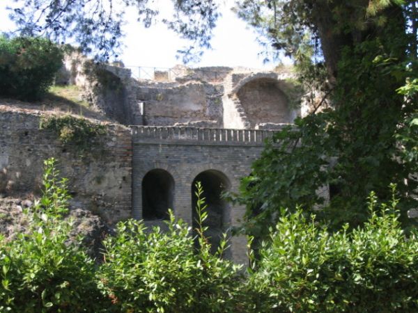 ������ ����