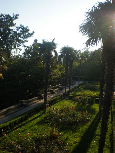 ������������ ���� ����