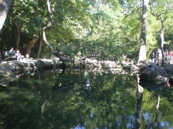 ����������� ���� ����