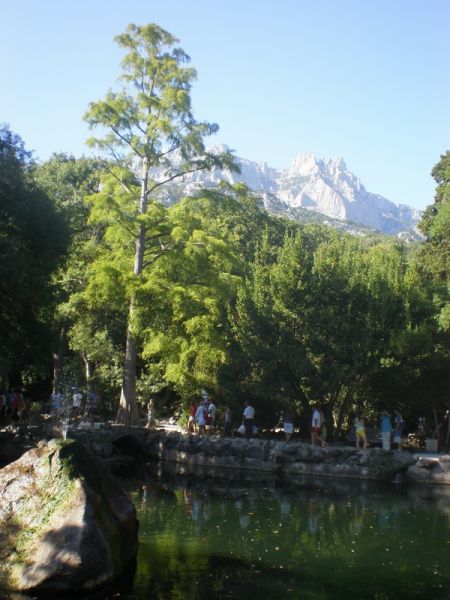 ��� �� ��-�����  �� ������������� ������ ����