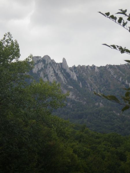 �������� ���� ����