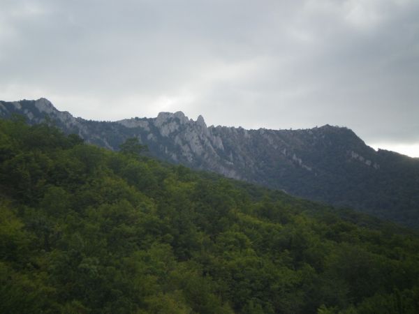 �������� ���� ����