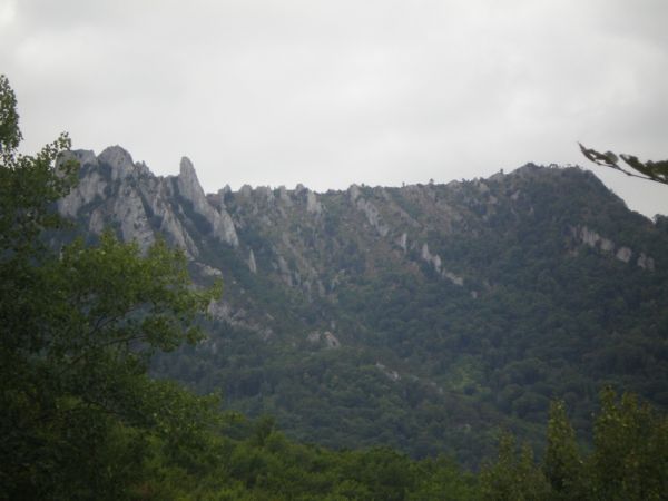 �������� ���� ����