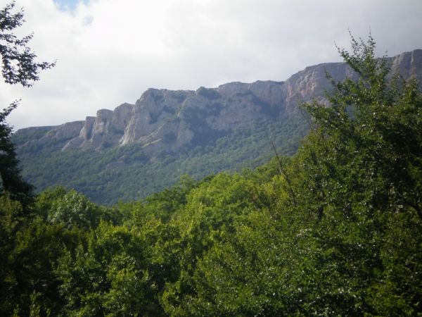 �������� ���� ����