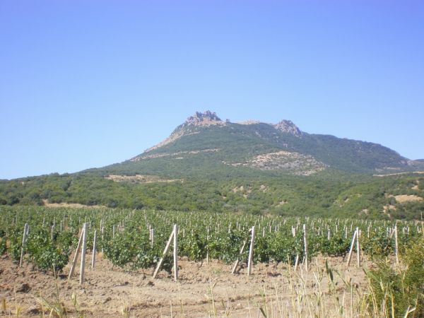 �������� ������������ ����