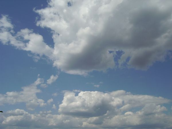 ������� ���� ����������� ������� ����