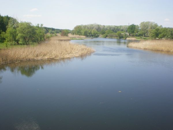 ���� ��������� �����, ����������� �������, ������� ����