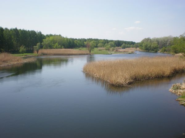 ���� ��������� �����, ����������� �������, ������� ����