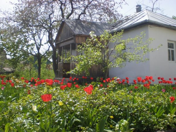 ������, ���������� ������ ����