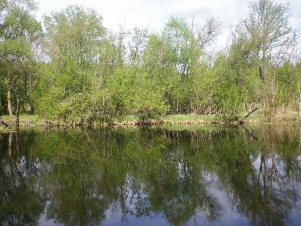 ��������� �����, ������������ ����