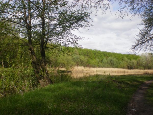 ������� ������������ ����