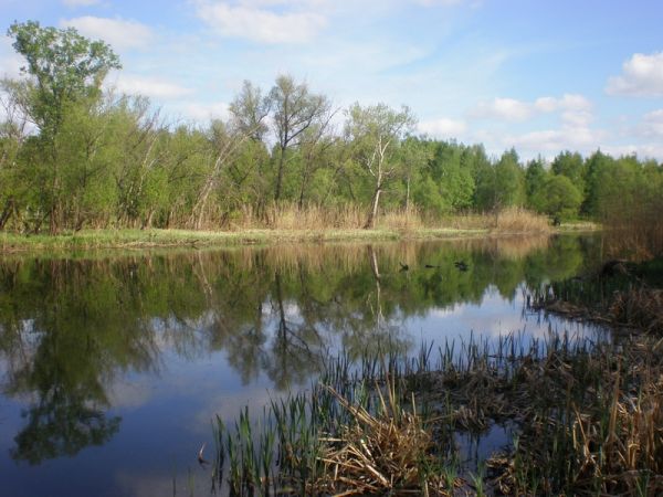 ��������� �����, ������������ ����