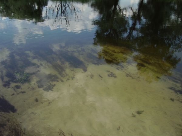 ��������� �����, ������������ ����