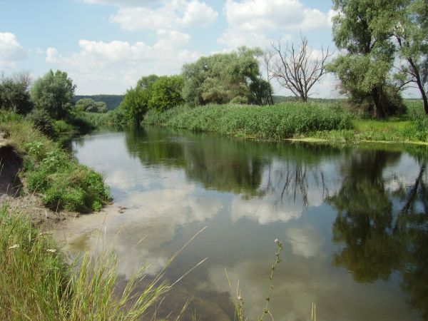 ��������� �����, ������������ ����