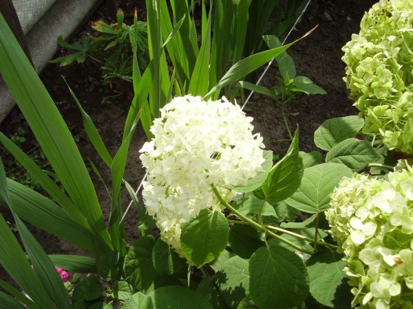 ��������� ����