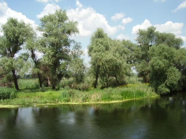 ��� �� ��������� ����� ����