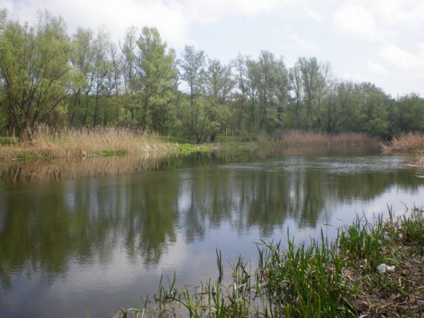 ��������� �����, ������������ ����