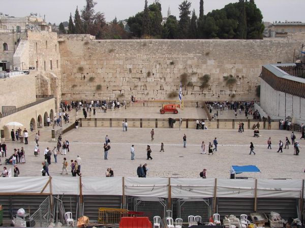 ����� �����, ���������. ����