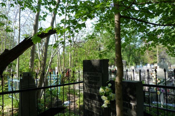 ������ ������������ �������� � ������ ����