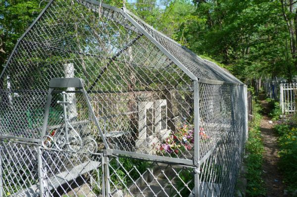 ������ ������������ �������� � ������ ����