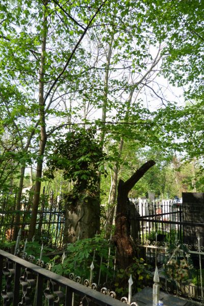 ������ ������������ �������� � ������ ����