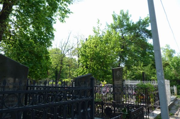 ������ ������������ �������� � ������ ����