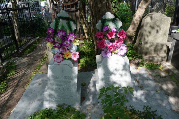 ������ ������������ �������� � ������ ����