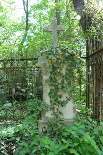 ������ ������������ �������� � ������ ����