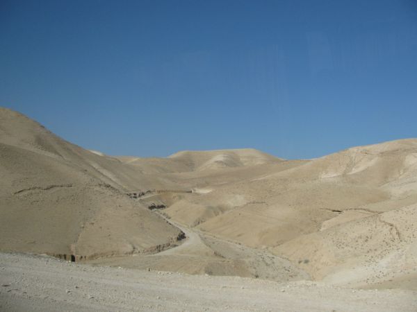 ������� ���� ����