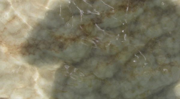 ������� ���� ����