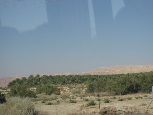 ������� ���� ����